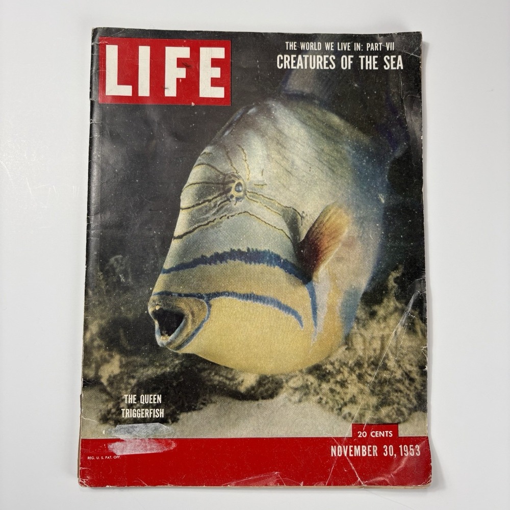 Vintage Life Magazine November 30, 1953 Creatures of the Sea